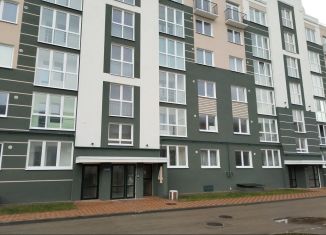 Продажа 1-комнатной квартиры, 22.9 м2, Пионерский, улица Гептнера, 17