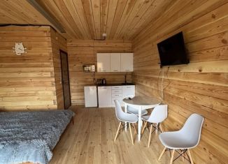 Сдаю в аренду дом, 26 м2, ДПК Рублёвка