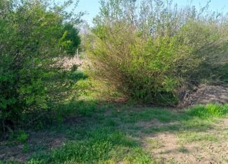 Продажа участка, 5 сот., садоводческое товарищество собственников недвижимости Чайка, Сливовая улица