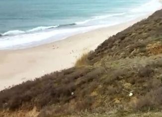 Продается земельный участок, 502 сот., Окунёвское сельское поселение