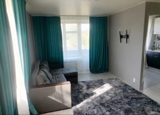 1-комнатная квартира на продажу, 33 м2, деревня Судаково