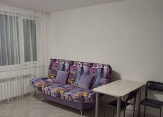 Квартира в аренду студия, 30 м2, Екатеринбург, улица Готвальда, 24, Железнодорожный район