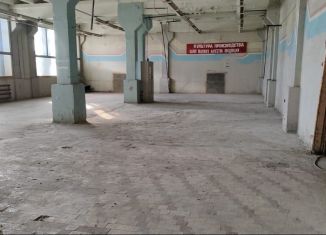 Сдам в аренду производство, 231.7 м2, Владимирская область, Северная улица, 1Мк9