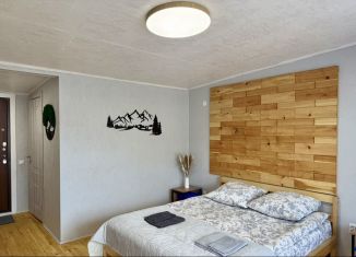 Аренда дома, 21 м2, село Онгудай, Весенняя улица, 44