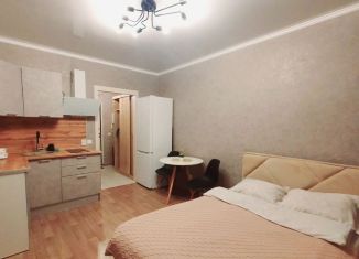 Сдаю в аренду квартиру студию, 28 м2, Мурино, Воронцовский бульвар, 14к5, ЖК Краски Лета