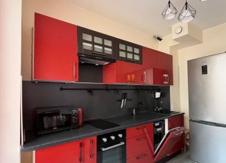 Сдам в аренду 2-ком. квартиру, 46.4 м2, Санкт-Петербург, Суздальское шоссе, 22к4, Приморский район