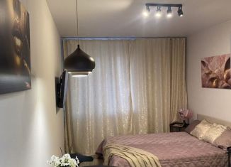 Сдам в аренду квартиру студию, 27 м2, Мурино, проспект Авиаторов Балтики, 29к2, ЖК Авиатор