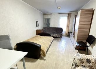 Сдается квартира студия, 28 м2, Республика Башкортостан, Кировоградская улица, 11