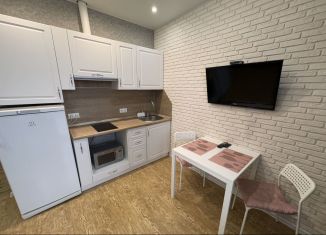 Сдача в аренду квартиры студии, 21.6 м2, Сыктывкар, Октябрьский проспект, 216, район Орбита