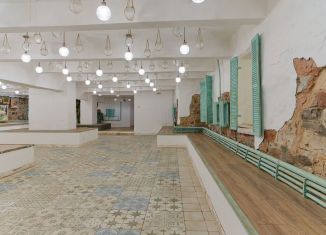 Аренда помещения свободного назначения, 250 м2, Брянск, улица 3-го Интернационала, 4