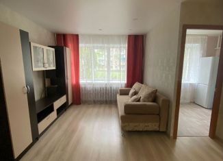 1-ком. квартира в аренду, 32 м2, Йошкар-Ола, улица Машиностроителей, 6, 2-й микрорайон