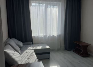 1-ком. квартира в аренду, 30 м2, Нижний Новгород, улица 40 лет Победы, 19
