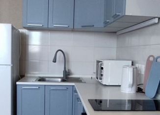 Сдача в аренду квартиры студии, 32 м2, Краснодар, Колхозная улица, 5, микрорайон Табачная Фабрика