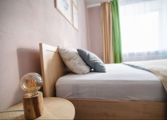 1-комнатная квартира в аренду, 45 м2, Рязань, улица Чапаева, 59