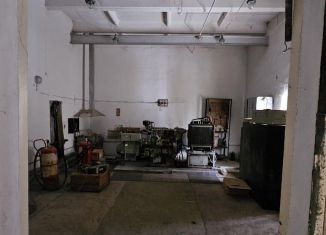 Продажа помещения свободного назначения, 280.8 м2, Чайковский, СНТ № 50 Ветеран, 229