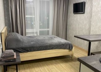 Аренда квартиры студии, 23 м2, Воронеж, улица Независимости, 84/5