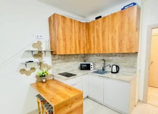 Сдается в аренду квартира студия, 37 м2, Екатеринбург, улица Чайковского, 66А