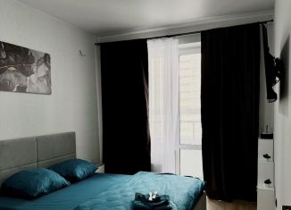 Сдается в аренду 1-комнатная квартира, 40 м2, Краснодар, Воронежская улица, микрорайон Черемушки