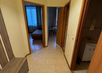 Сдается в аренду 1-комнатная квартира, 32.4 м2, деревня Новое Девяткино, Арсенальная улица, 2, ЖК Девяткино