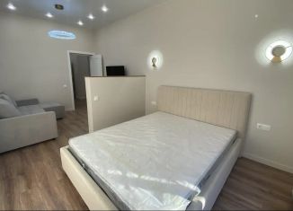 Однокомнатная квартира в аренду, 44 м2, Ростов-на-Дону, улица Евдокимова, 37А, ЖК Северная Венеция