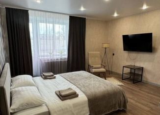 Сдаю в аренду однокомнатную квартиру, 35 м2, Великий Новгород, Каберова-Власьевская улица, 15