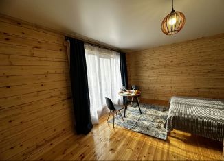 Аренда дома, 25 м2, Чибитское сельское поселение, Р-256 Чуйский тракт, 781-й километр