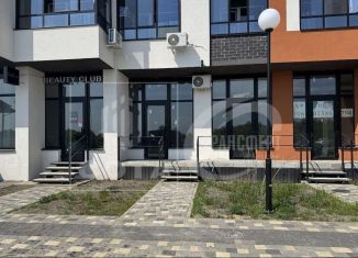 Помещение свободного назначения на продажу, 40.62 м2, Воронеж, улица Теплоэнергетиков, 17к4