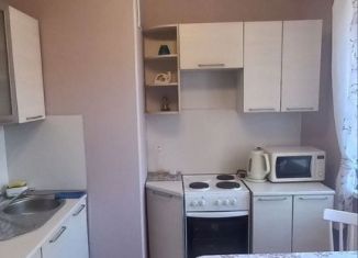 Продажа 1-комнатной квартиры, 31 м2, Санкт-Петербург, муниципальный округ Пискарёвка, Кушелевская дорога, 5к2