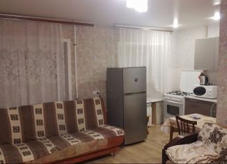 Квартира в аренду студия, 38 м2, Татарстан, улица Татарстан, 43