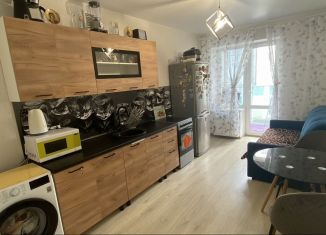 Продаю 1-ком. квартиру, 42.7 м2, поселок городского типа Стройкерамика, улица Анетты Басс, 2с8