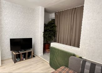 Сдам однокомнатную квартиру, 30 м2, Сочи, улица Пирогова, 20, микрорайон Новый Сочи