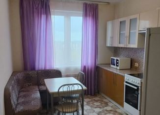 Сдам в аренду 1-комнатную квартиру, 45 м2, Колпино, Вознесенское шоссе, 49к2, ЖК Олимп