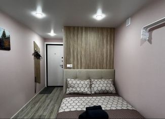 Сдается в аренду квартира студия, 15 м2, Новосибирск, улица Дуси Ковальчук, 266/4, Заельцовский район