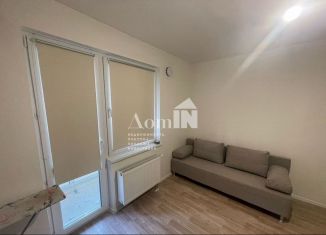Продаю квартиру студию, 18.3 м2, Санкт-Петербург, Чарушинская улица, 22к1, муниципальный округ Полюстрово