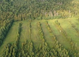 Участок на продажу, 2400 сот., деревня Куровицы