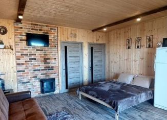 Аренда дома, 40 м2, Ростовская область, улица Горького, 58