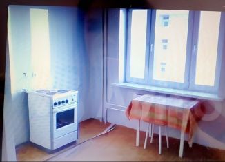 Аренда однокомнатной квартиры, 42 м2, Екатеринбург, Эскадронная улица, 29, метро Ботаническая