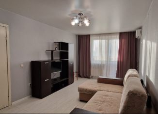 Однокомнатная квартира в аренду, 40 м2, Кемеровская область, Запорожская улица, 61
