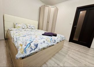 Сдается в аренду квартира студия, 40 м2, Сыктывкар, улица Осипенко, 12, Октябрьский район