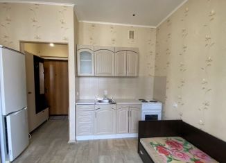 Продается квартира студия, 19.6 м2, Новосибирск, улица Одоевского, 1/2