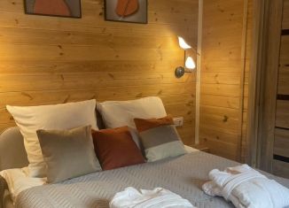 Аренда дома, 25 м2, Республика Алтай, Родниковая улица, 70