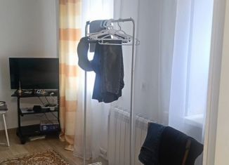 Сдача в аренду дома, 43 м2, Барнаул, Центральный проезд, 8