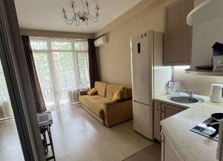 Сдаю квартиру студию, 23 м2, Сочи, Туапсинская улица, 9/1, микрорайон Больничный Городок