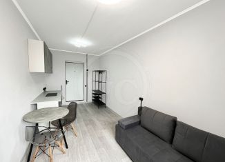 Продажа однокомнатной квартиры, 13.9 м2, Оренбург, Заводской переулок, 28, Центральный район