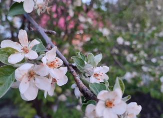 Продам земельный участок, 10 сот., Ишимбай, Яблоневая улица