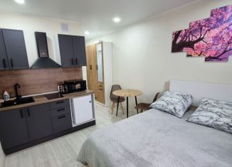 Сдаю в аренду квартиру студию, 20 м2, Тюмень, улица Новосёлов, Калининский округ