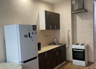 Сдаю квартиру студию, 26 м2, деревня Мотяково, деревня Мотяково, 65к6