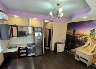 Продается квартира студия, 25.5 м2, рабочий поселок Маркова, Зелёная улица, 8