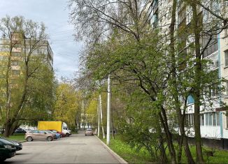 2-ком. квартира на продажу, 45.4 м2, Санкт-Петербург, улица Партизана Германа, 41к3, метро Проспект Ветеранов