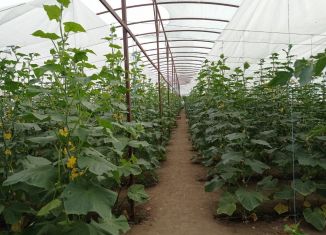 Продается дом, 65 м2, Адыгея